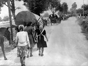 1945 - refugee trek