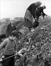 Post-war era - starvation - waste collectors