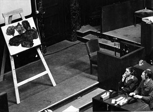 Nuremberg Trials 1946 - Crime