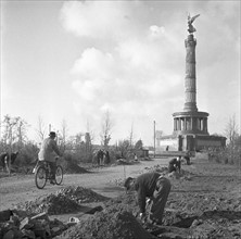 Post-war era - Berlin Tiergarten 1950