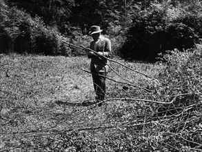 US Army cuts down saplings
