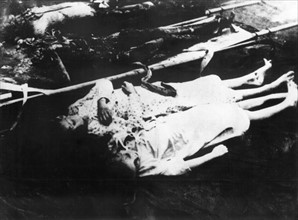 Joseph Goebbels - corpse