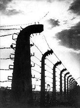 Concentration camp - Auschwitz