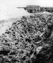 Review - Mass grave at Bergen-Belsen concentration camp