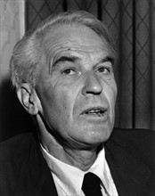 Will Grohmann