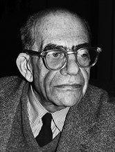 Erwin Panofsky