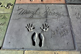 Meryl Streep
