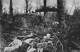 Bataille de Verdun, février 1916