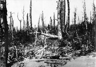 I. WK - Westfront - Schlacht von Verdun 1916