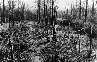 1. Weltkrieg: Schlacht um Verdun