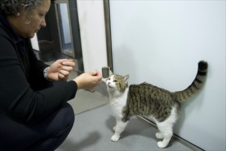 Larry the Downing Street Cat
