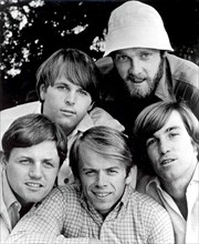 the Beach Boys