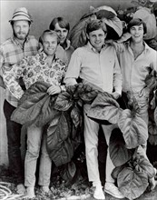 The Beach Boys