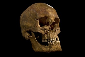 Geheimnis um Richard III.