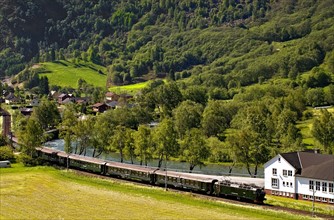 Norvège. Train touristique Flamsbana