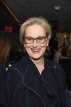 Meryl Streep at the 31st Annual Citymeals on Wheels Power Lunch for Women in New York Cit
