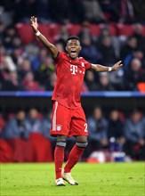 Champions - League - FC Bayern München - Benfica Lissabon