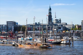 Der Baumwall und der City Sporthafen in Hamburg