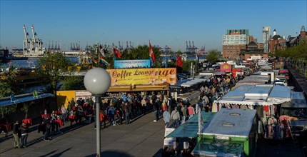 Visiting Hamburg's fish market