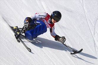 Paralympics Pyeongchang 2018 - Abfahrt