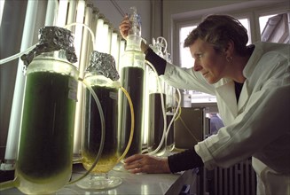 Ina Färber, assistante scientifique à l'Institut de recherche sur les céréales de