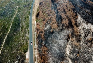 Aerial photo taken on Nov. 11, 2019 shows burnt bushes near Port Macquarie, New South Wales, Australia