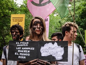 Argentina, Buenos Aires: A demonstrator who has symbolically painted a kangaroo running away from the fire on her face is taking part in a protest against climate policy in front of the Australian Emb...