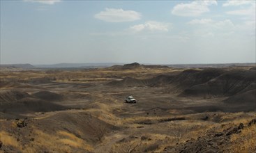 Die Artgenossen der Urfrau «Lucy» gingen vor 3,2 Millionen Jahren mit Sicherheit aufrecht. Das