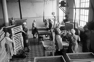 Arbeiterinnen bei der Süßwarenproduktion in der Süßwarenfabrik Oehler in Zeitz, Deutschland 1948.