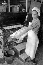 Arbeiterin bei der Süßwarenproduktion in der Süßwarenfabrik Oehler in Zeitz, Deutschland 1948.