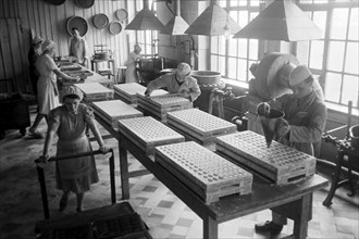 Arbeiterinnen bei der Süßwarenproduktion in der Süßwarenfabrik Oehler in Zeitz, Deutschland 1948.