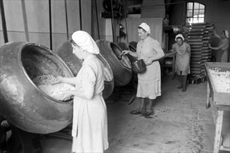 Arbeiterinnen bei der Süßwarenproduktion in der Süßwarenfabrik Oehler in Zeitz, Deutschland 1948.