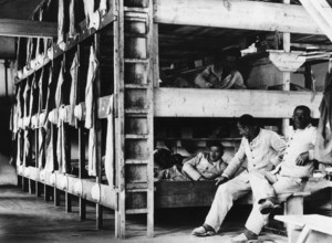 Häftlinge auf ihren Pritschen in einer Baracke des KZ Dachau. Um den zahlreichen Berichten in der