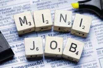 Mini job