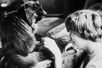 Françoise Sagan et son chat