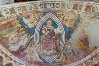 Codigoro, the Pomposa Abbey, interior of the Basilica of Santa Maria