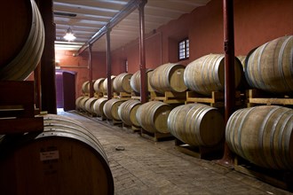 Winery Scacciadiavoli in Montefalco, Italie