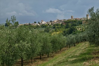 View of Montefalco, Umbria, Italie