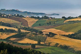 Hills near Saragano, Umbria, Italie