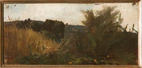 Giovanni Muzzioli (1854-1894), "Study of Vegetation"