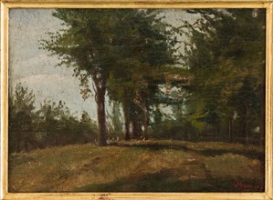 Albano Lugli (1834-1914); "The Planted Field"