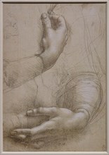 "Female arms and hands. Small Man's head in profile", by Leonardo da Vinci
