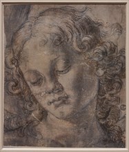 "A Angel's Head", by Andrea Del Verrocchio