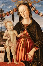 "Madonna and Child", by Pinturicchio