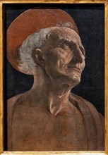 "St. Jerome", by Andrea Del Verrocchio