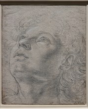 "Head of a Young Man", by Andrea Del Verrocchio