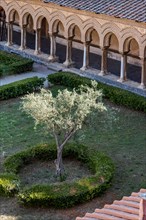 Monreale, Duomo, cloister of the Benedictine monastery: view of the cloister