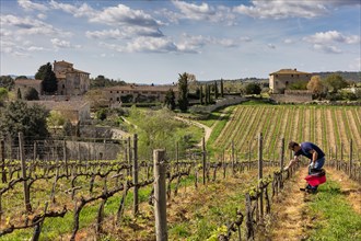Gaiole in Chianti, Brolio Castle, Azienda Ricasoli (Wine making Company)