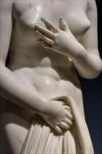 "Venus", by Antonio Canova