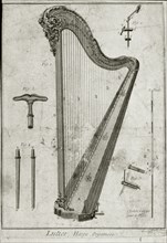 Lutier, Harpe organisée